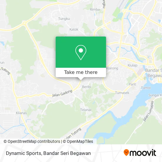 Dynamic Sports map