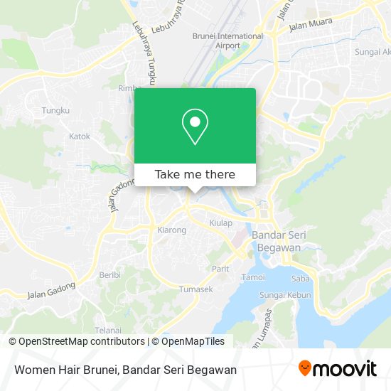 Women Hair Brunei map