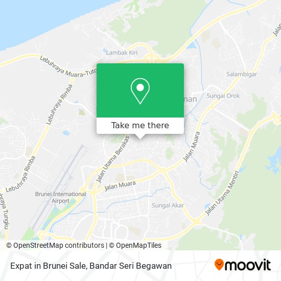 Expat in Brunei Sale map