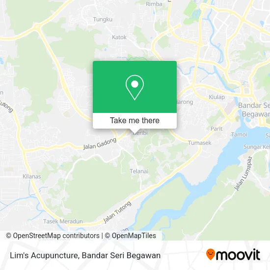 Lim's Acupuncture map