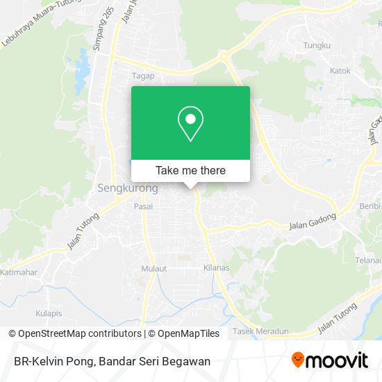 BR-Kelvin Pong map