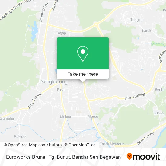 Euroworks Brunei, Tg. Bunut map