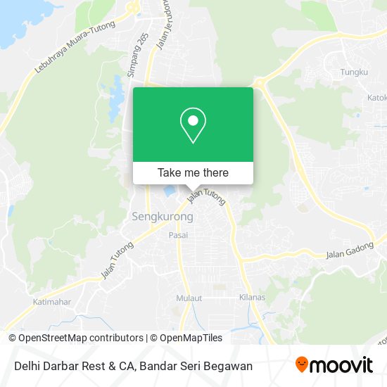 Peta Delhi Darbar Rest & CA