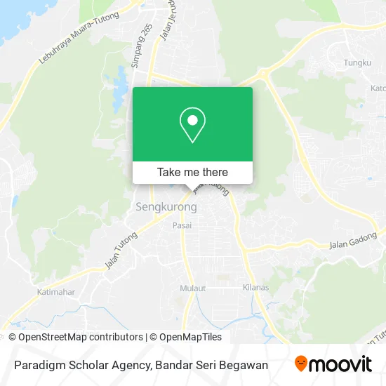 Paradigm Scholar Agency map