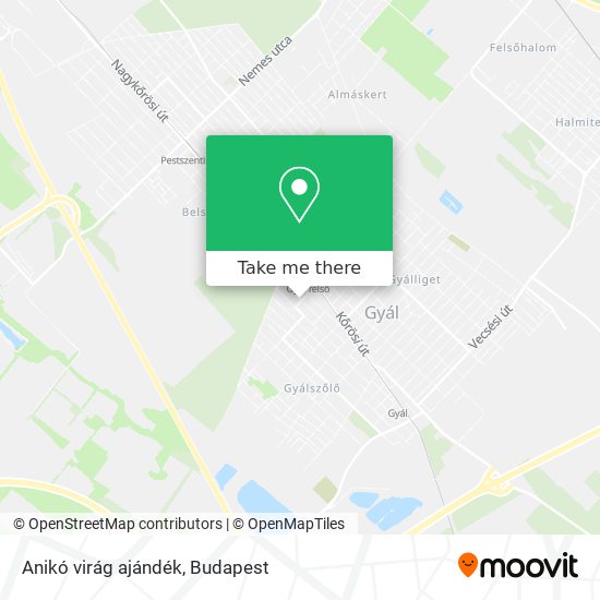 Anikó virág ajándék map