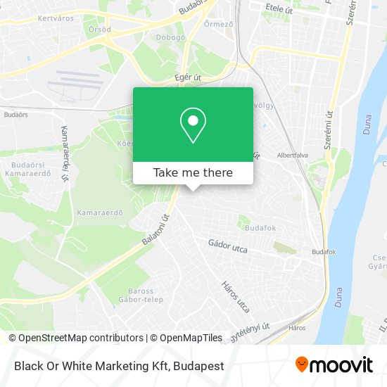 Black Or White Marketing Kft map