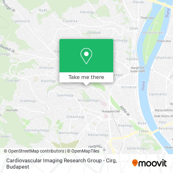 Cardiovascular Imaging Research Group - Cirg map