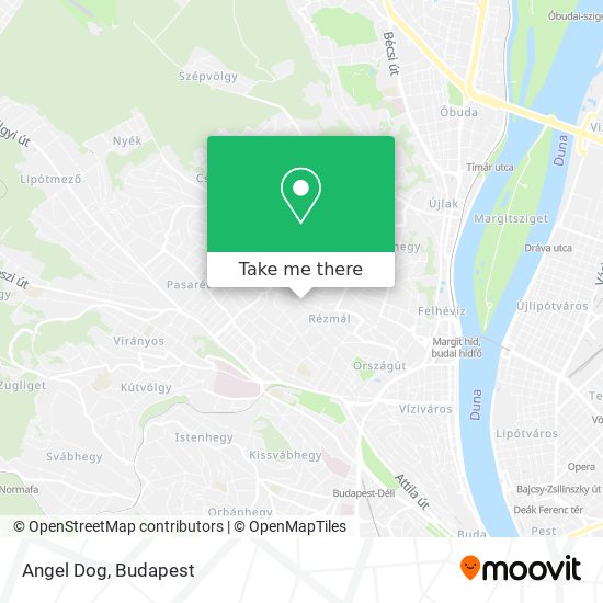 Angel Dog map