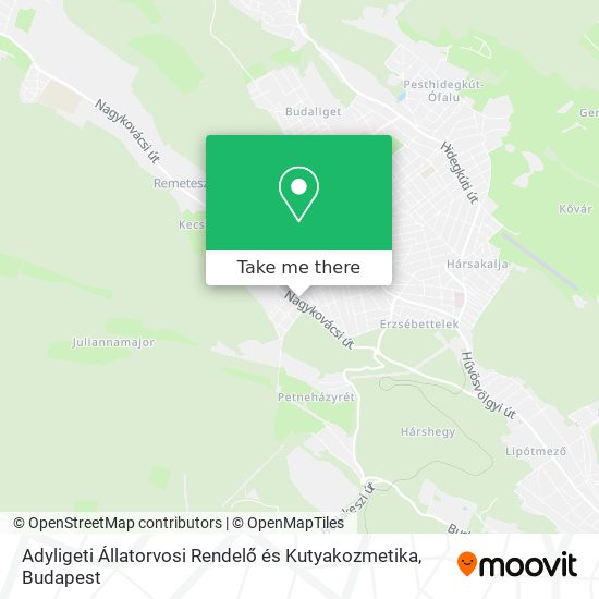 Adyligeti Állatorvosi Rendelő és Kutyakozmetika map