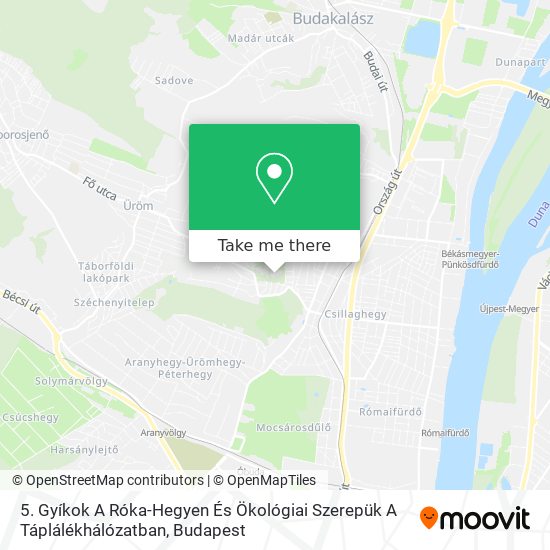 5. Gyíkok A Róka-Hegyen És Ökológiai Szerepük A Táplálékhálózatban map