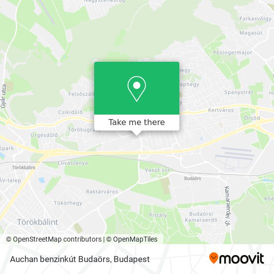 Auchan Benzinkut Budaors