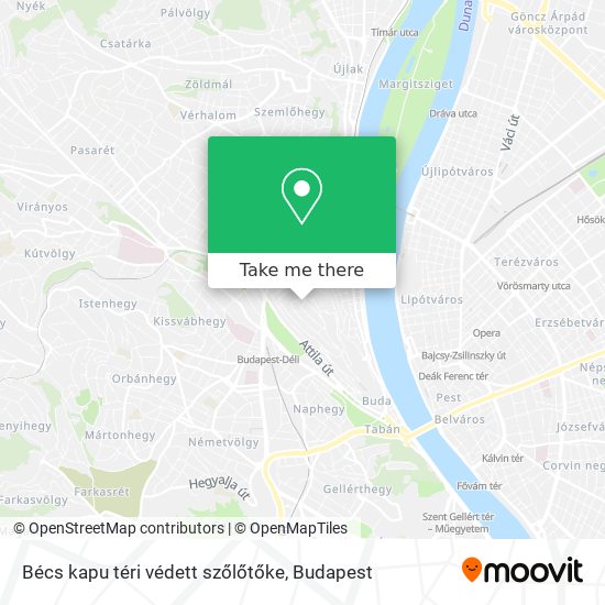 Bécs kapu téri védett szőlőtőke map