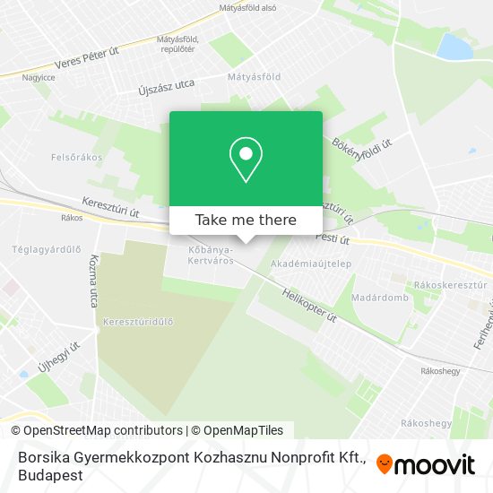 Borsika Gyermekkozpont Kozhasznu Nonprofit Kft. map