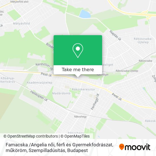Famacska /Angelia női, férfi és Gyermekfodrászat, műköröm, Szempilladúsítás map