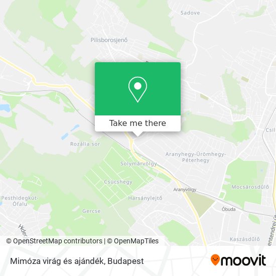 Mimóza virág és ajándék map