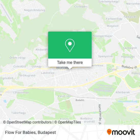 Flow For Babies map