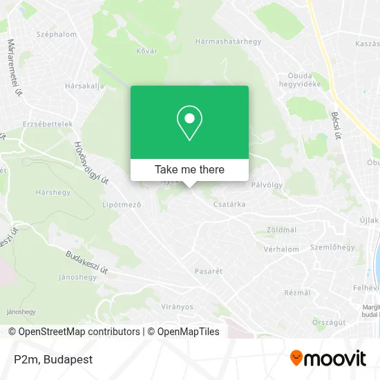 P2m map