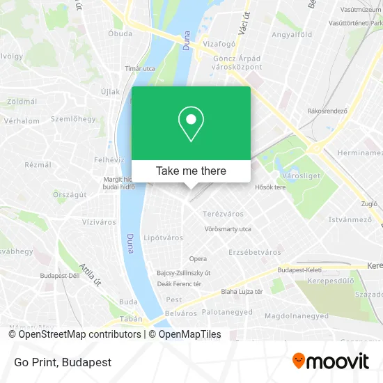Go Print map