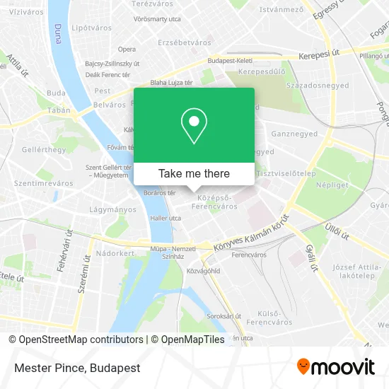 Mester Pince map