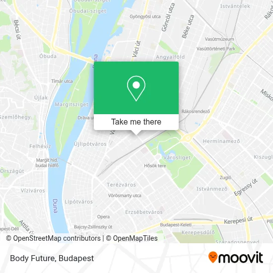 Body Future map