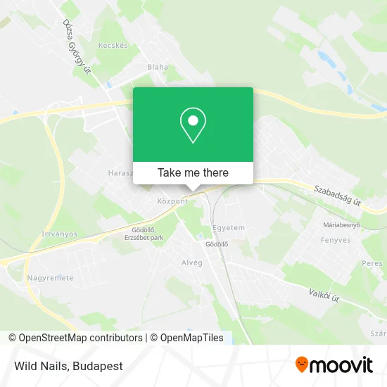 Wild Nails map