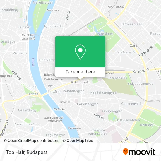 Top Hair map