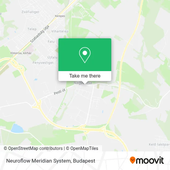 Neuroflow Meridian System map