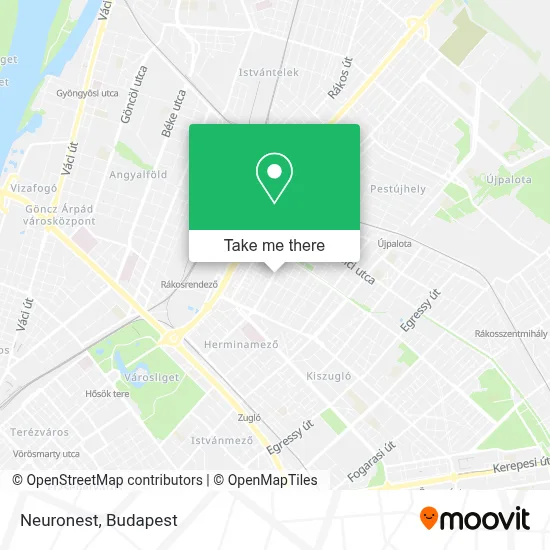 Neuronest map