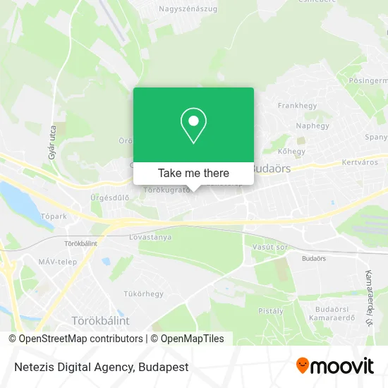 Netezis Digital Agency map