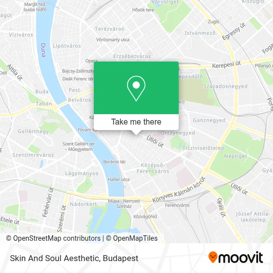 Skin And Soul Aesthetic map
