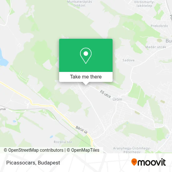 Picassocars map