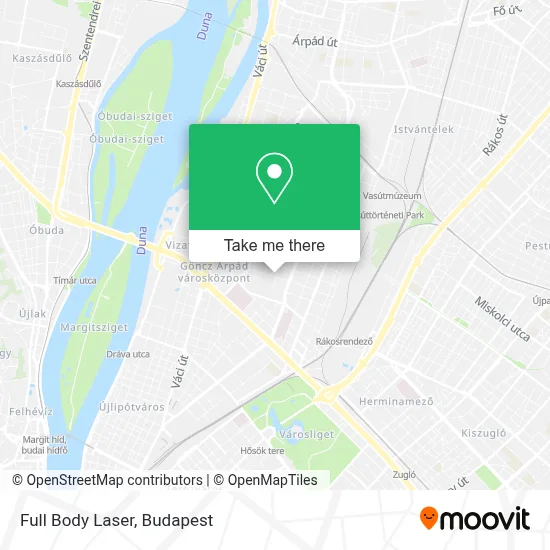 Full Body Laser map