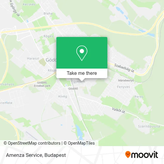 Amenza Service map