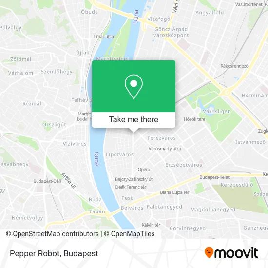 Pepper Robot map