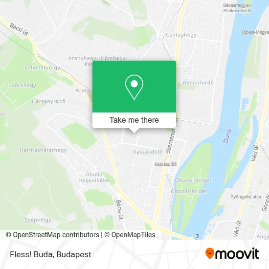 Fless! Buda map