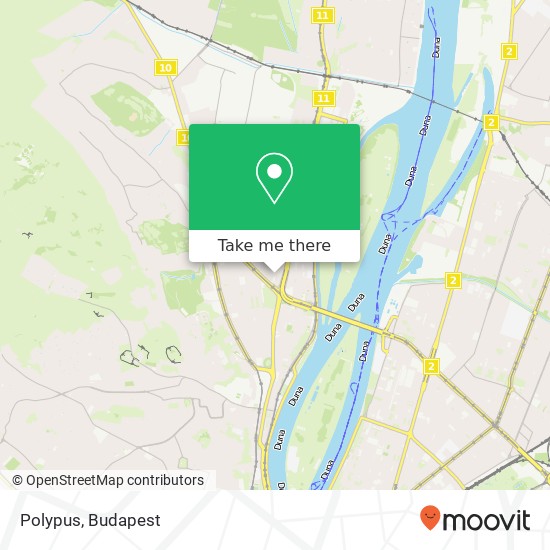 Polypus, Kórház utca 1035 Budapest map