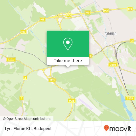 Lyra Florae Kft map