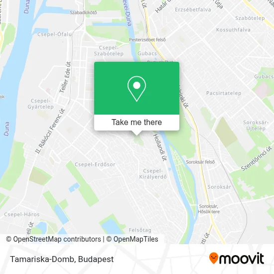 Tamariska-Domb map