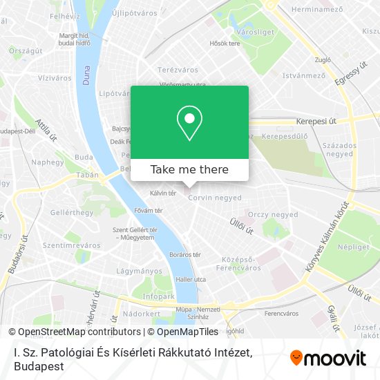 I. Sz. Patológiai És Kísérleti Rákkutató Intézet map
