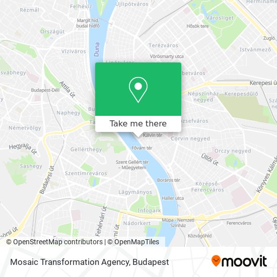 Mosaic Transformation Agency map