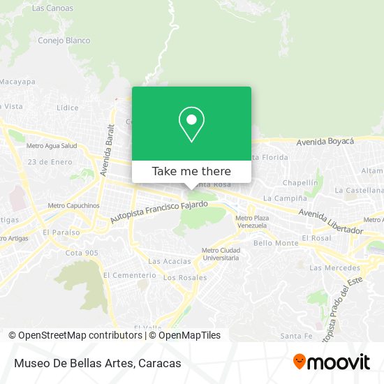 Museo De Bellas Artes map