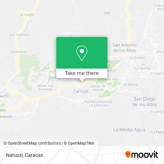 Natuzzi map