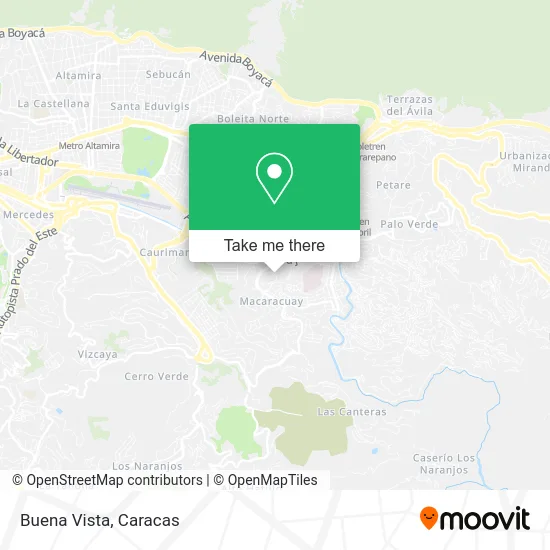 Mapa de Buena Vista