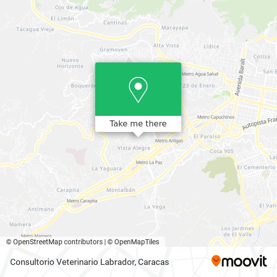 Consultorio Veterinario Labrador map