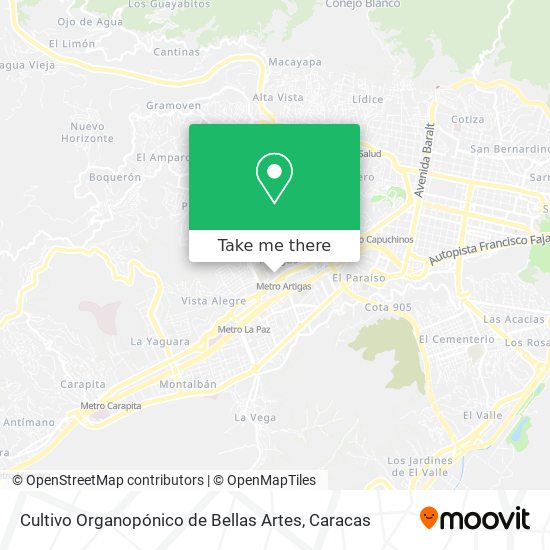 Cultivo Organopónico de Bellas Artes map