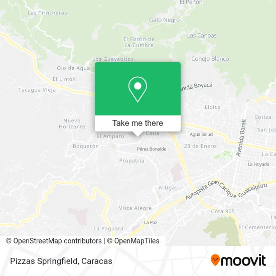 Pizzas Springfield map