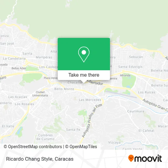 Ricardo Chang Style map
