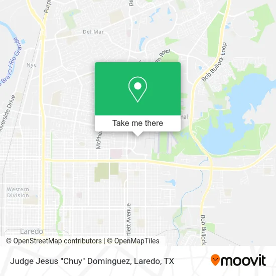 Judge Jesus "Chuy" Dominguez map
