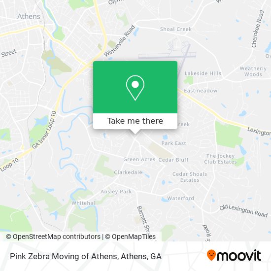 Pink Zebra Moving of Athens map