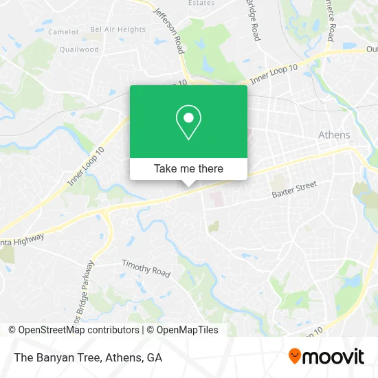 The Banyan Tree map